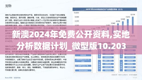 2025新澳最快最新资料|精选解释解析落实,新澳2025最新资料解析与落实精选策略