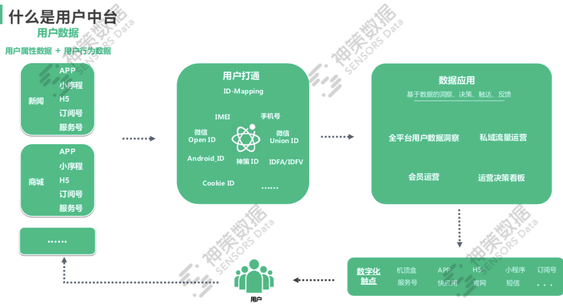 新奥天天免费资料单双中特|精选解释解析落实,新奥天天免费资料单双中特，精选解释解析与落实策略